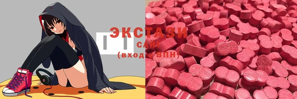 ECSTASY Богданович