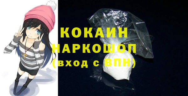 spice Богородицк