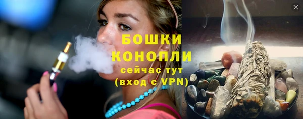 ECSTASY Богданович
