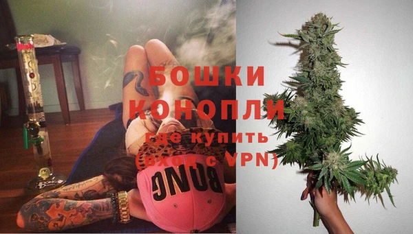 ECSTASY Богданович