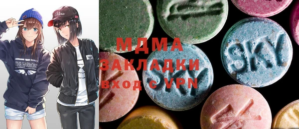 spice Богородицк