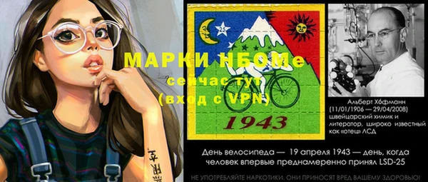 ECSTASY Богданович