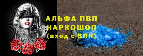 spice Богородицк
