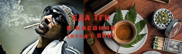 spice Богородицк