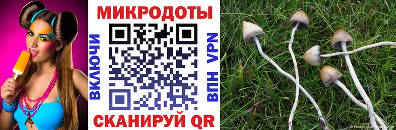Купить где  Алексин  Галлюциногенные грибы Psilocybine cubensis 